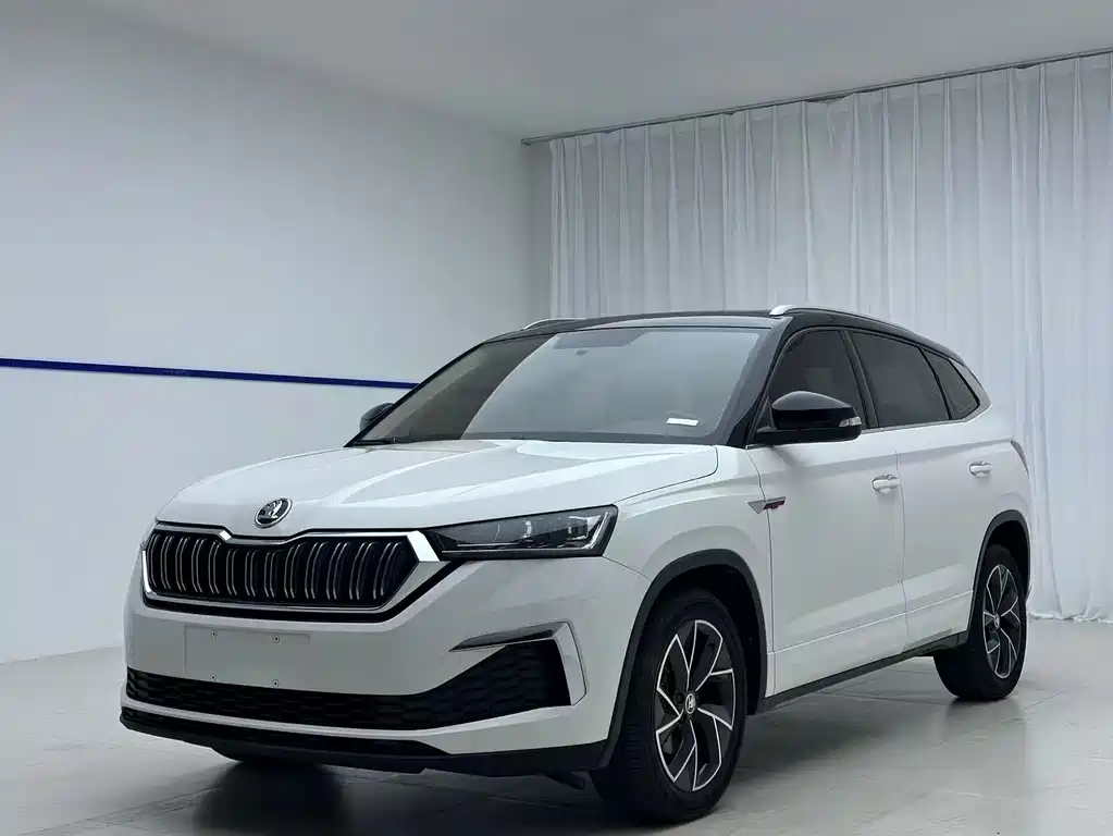 Купить Skoda Kamiq