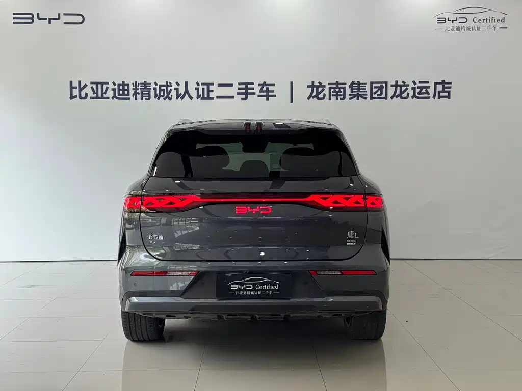 BYD Дон Л. — миниатюра 5