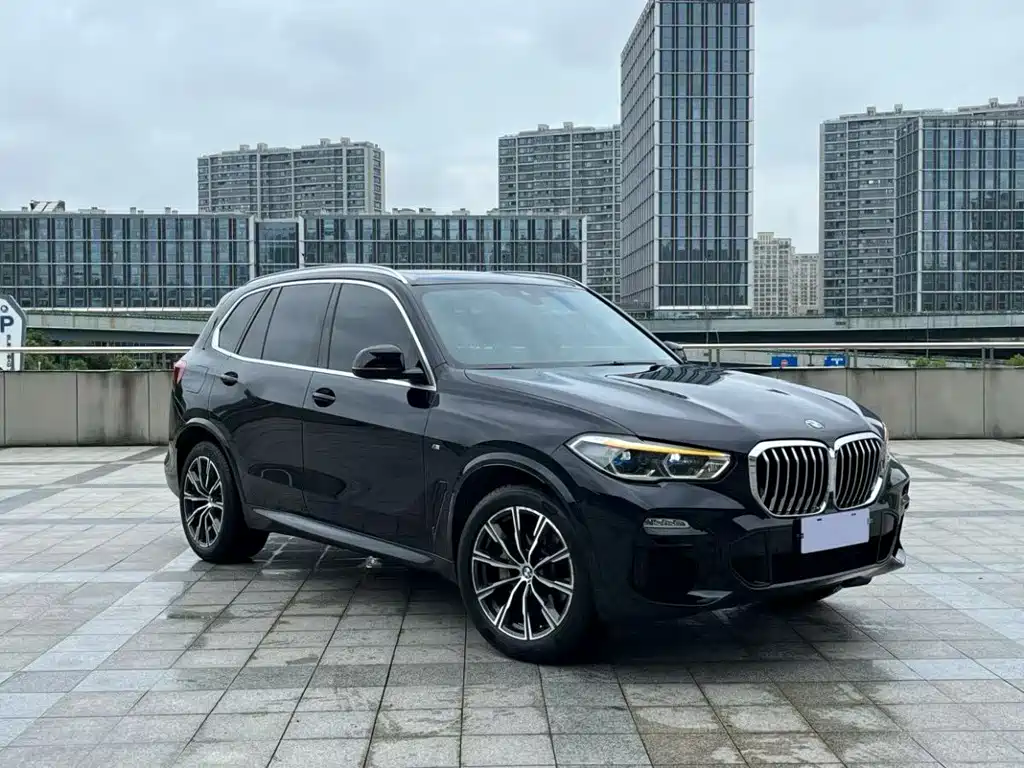 BMW X5 (Import) — миниатюра 4