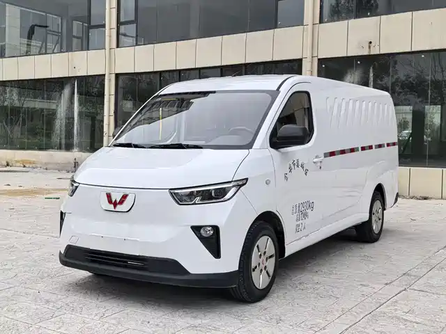 2024 Wuling Motors Yangguang