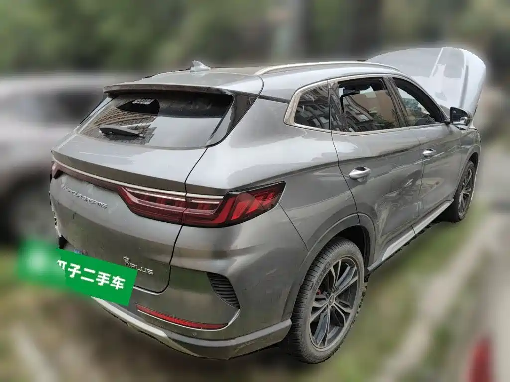 BYD PLUS — миниатюра 4