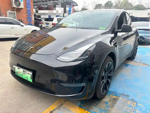 TESLA MODEL Y 2021