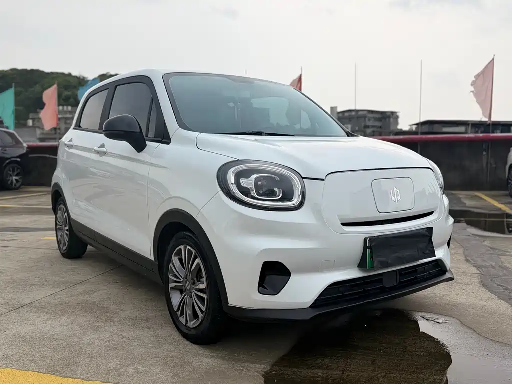 Leapmotor T03 2021 400