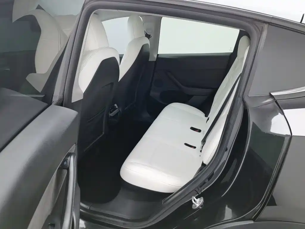 Tesla Model Y — миниатюра 15