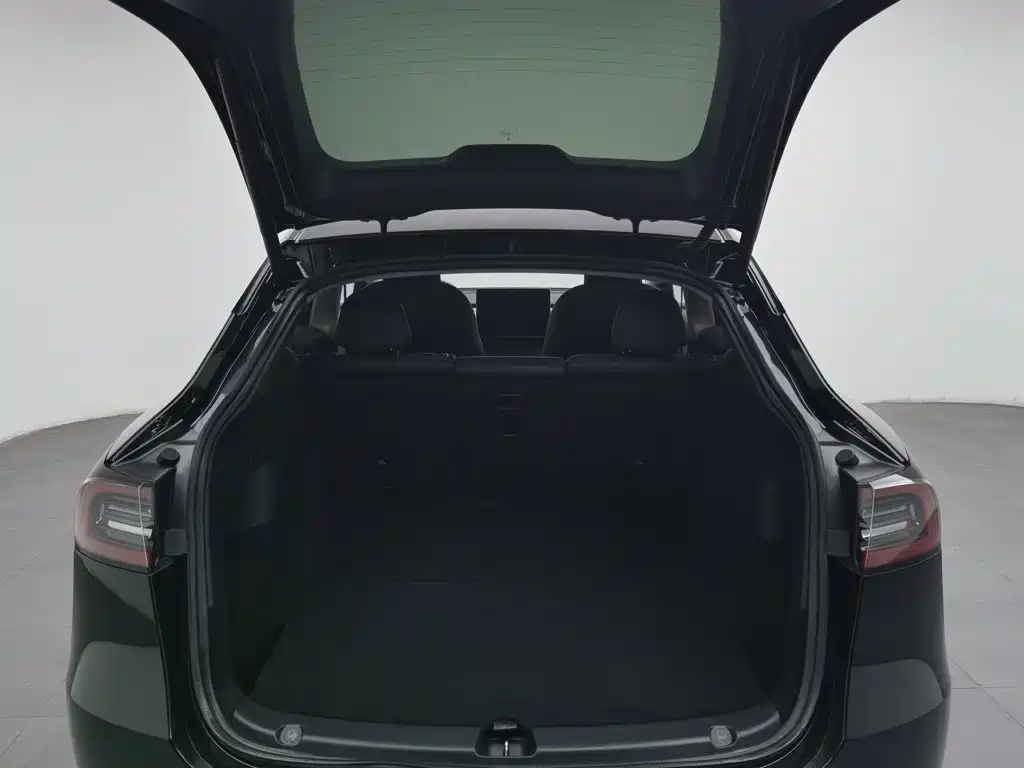 Tesla Model Y — миниатюра 16
