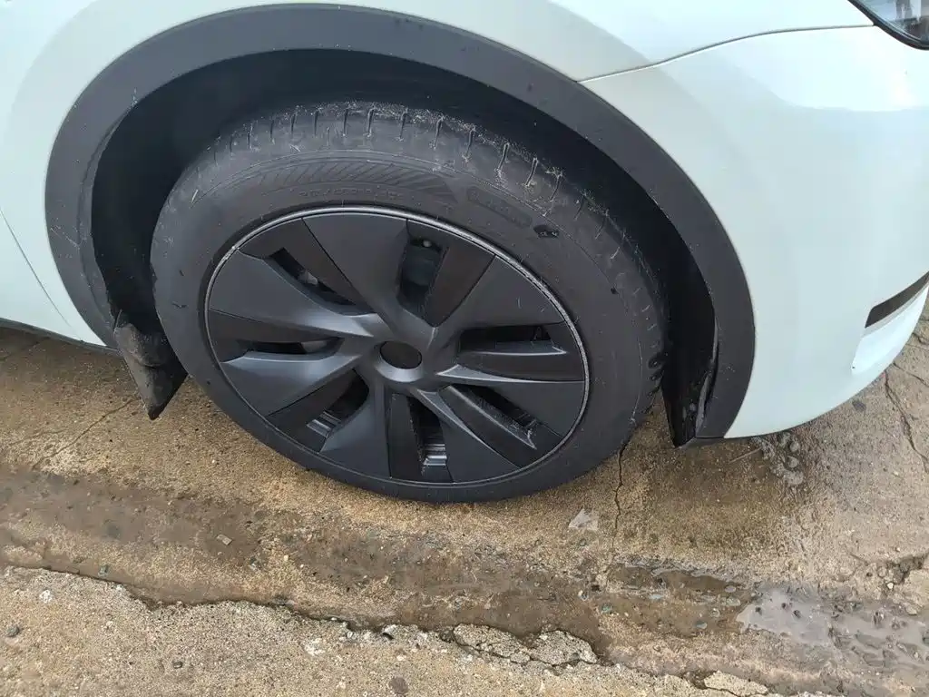 Tesla Model Y — миниатюра 25