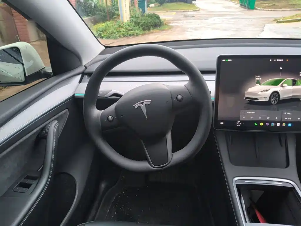 Tesla Model Y — миниатюра 6