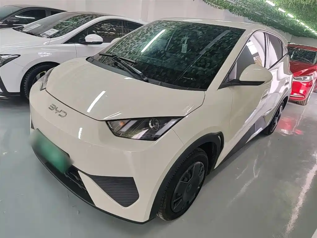 Byd Seagull 2025