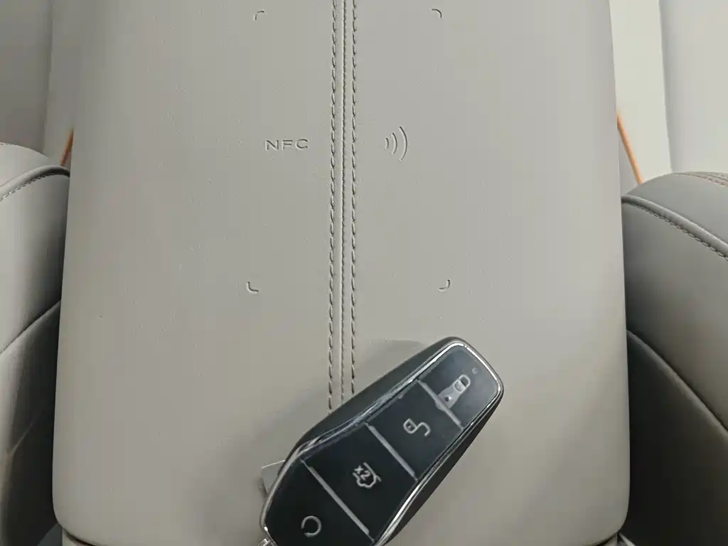 BYD Pro New Energy - фото 12