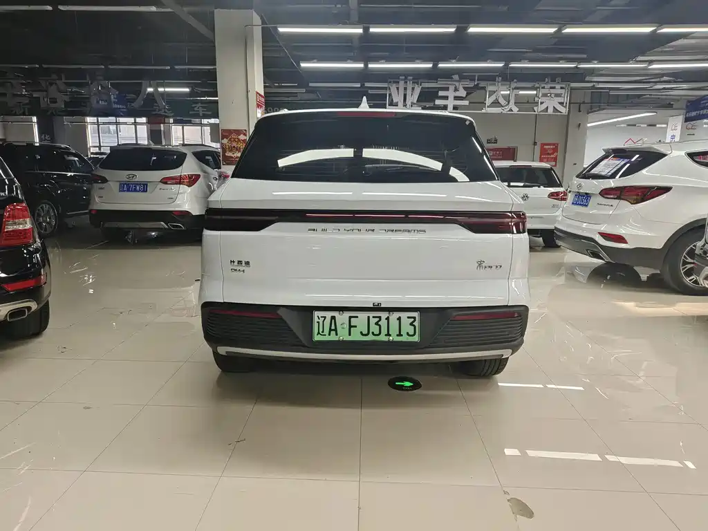 BYD Pro New Energy - фото 4