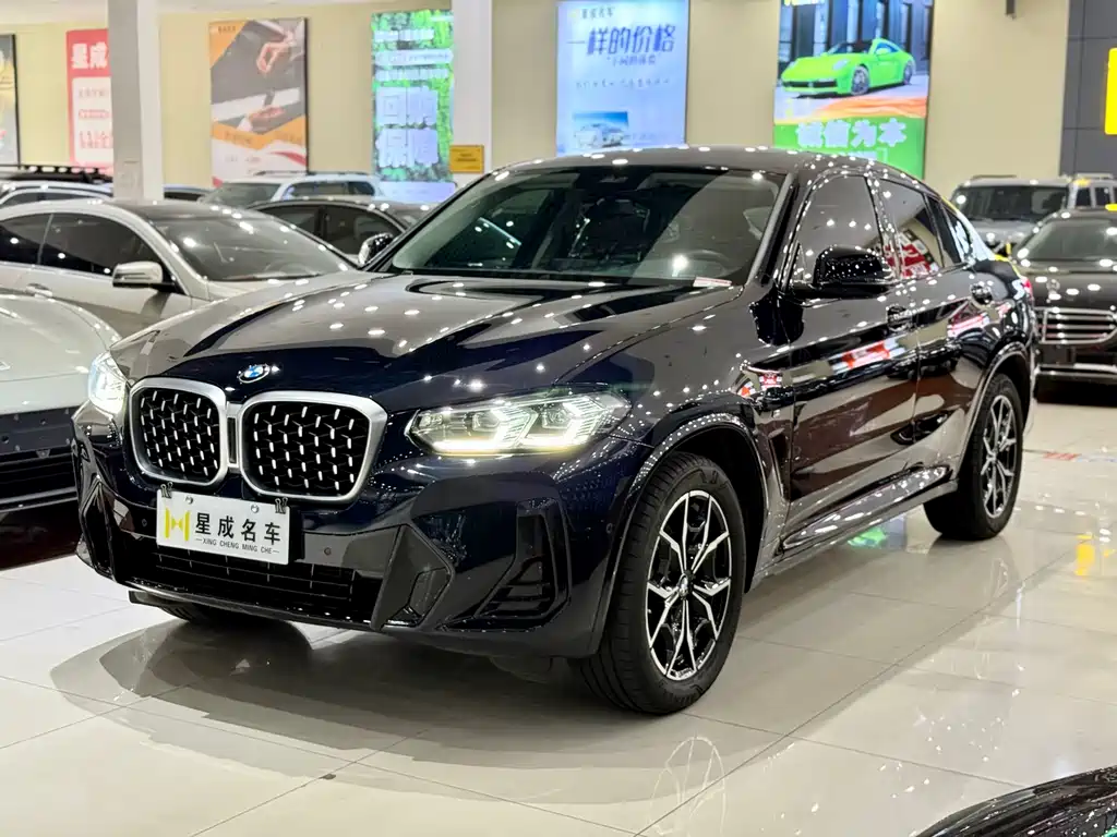 BMW X4 xDrive 25i M Sport Package, фото 2