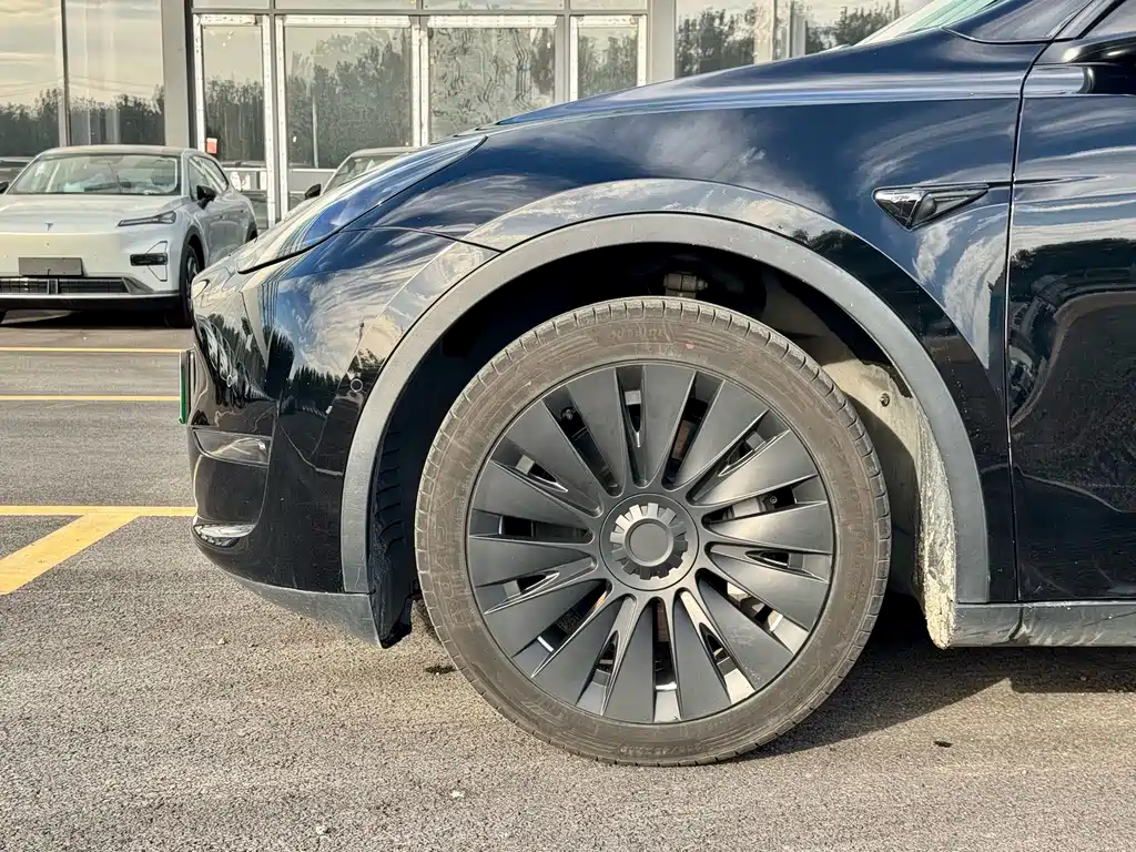 Tesla Model Y — миниатюра 5