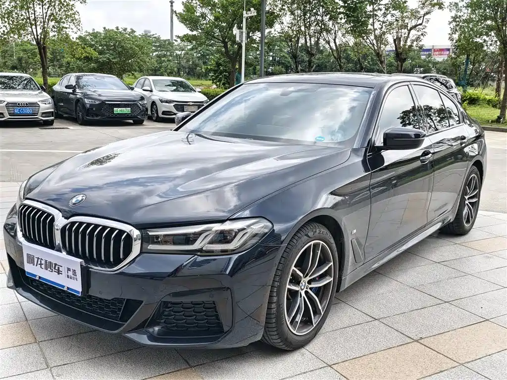 Купить BMW 5 Series (Import)
