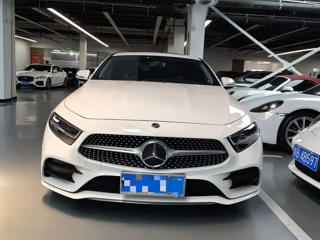 Mercedes-Benz CLS 2020 CLS 300