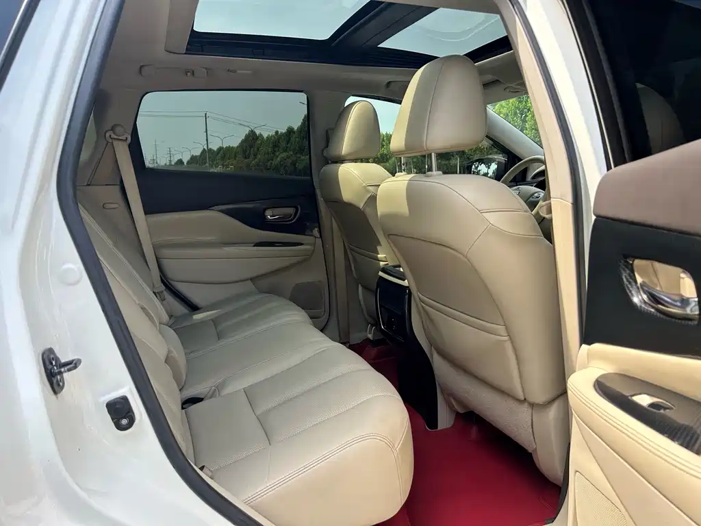 Nissan Murano 2019 2.5L XL Luxury VI