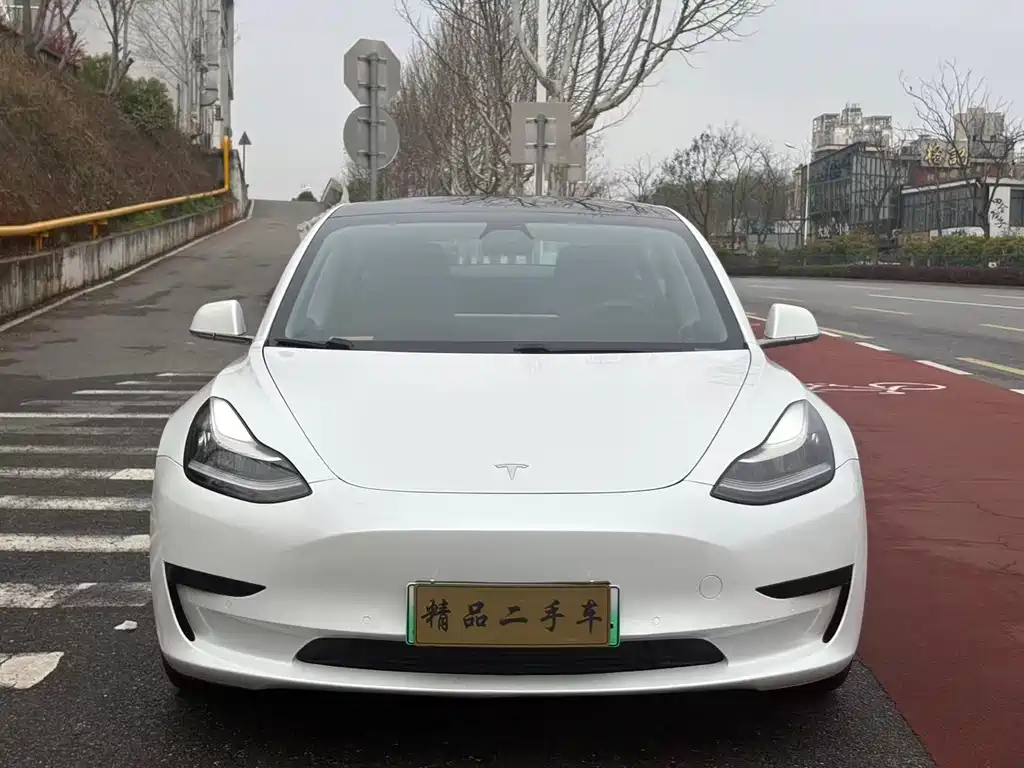 Tesla Model 3 2020
