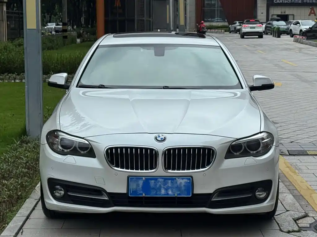 BMW 5 Series 5 2014 525Li Lead