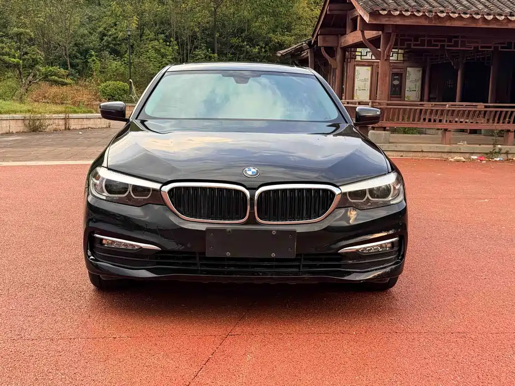 BMW 5 Series — миниатюра 2