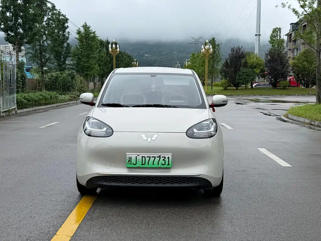 Wuling Binguo 2024 203km