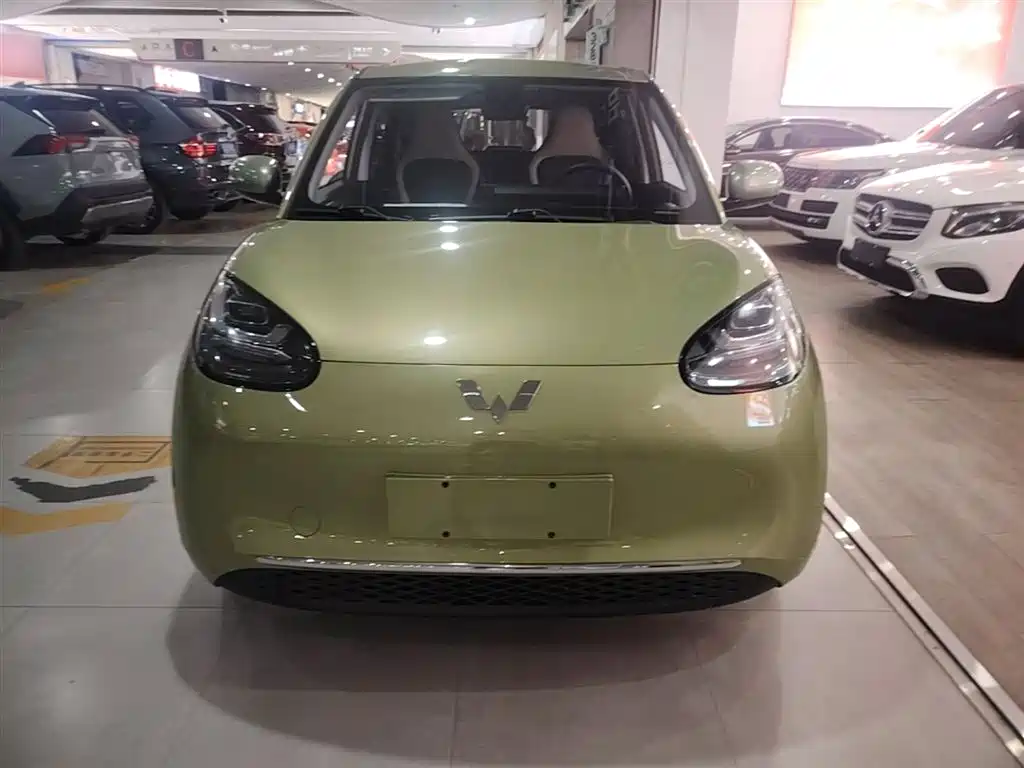 Wuling Binguo 2023 333km Enjoy