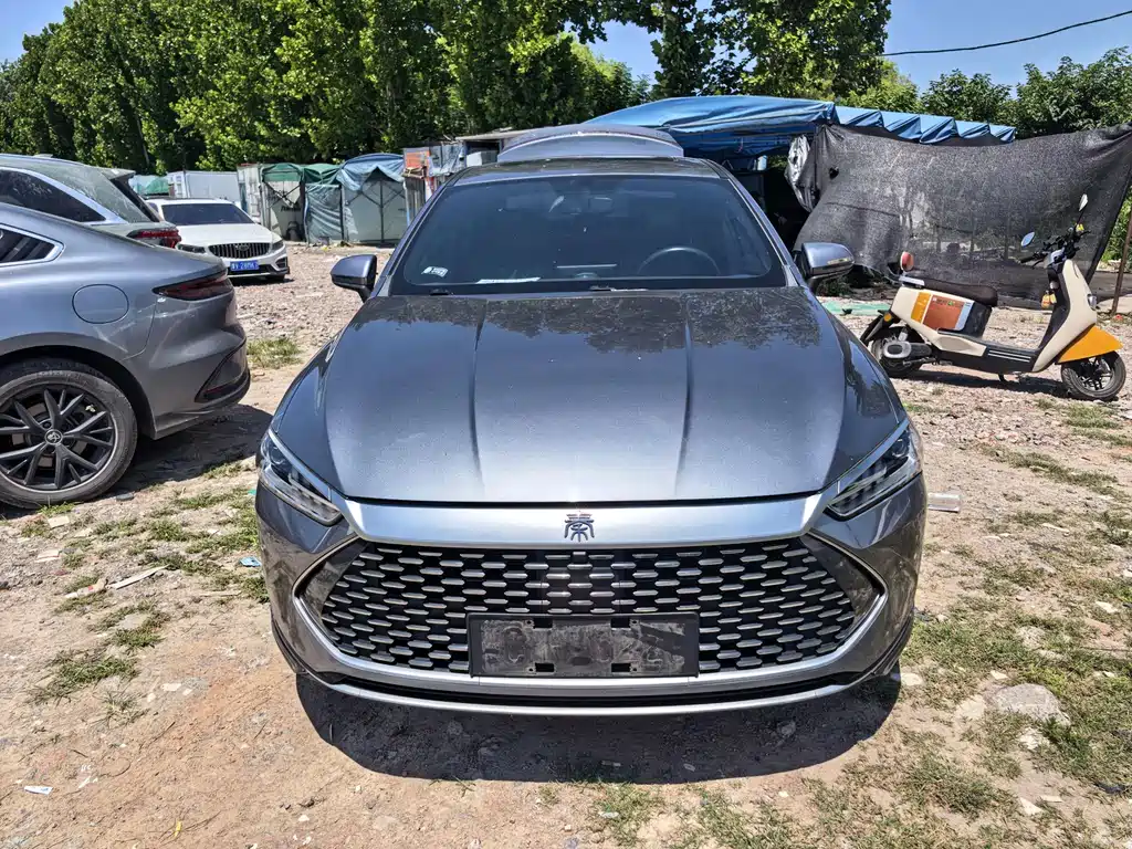 BYD Qin Plus PLUS 2021 DM-i 55KM Flagship