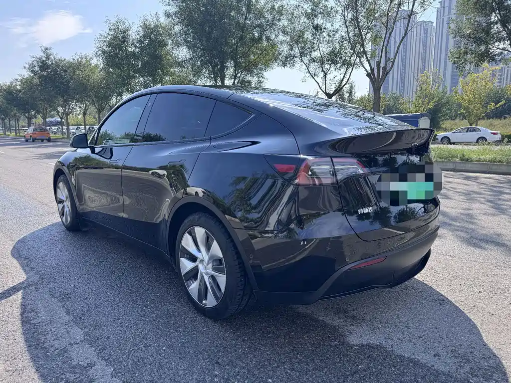 Tesla Model Y — миниатюра 4