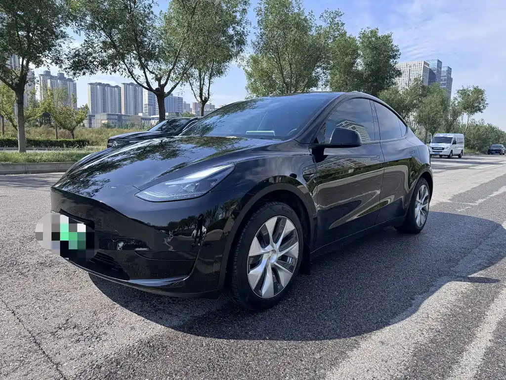 Tesla Model Y — миниатюра 3