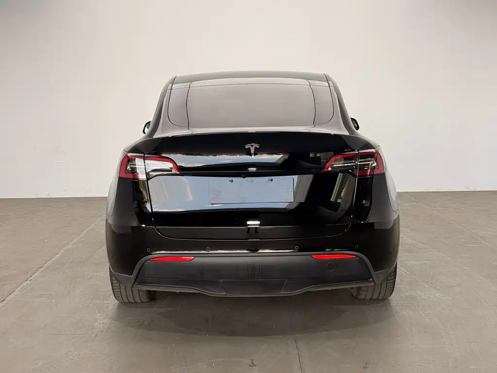 Tesla Model Y — миниатюра 6