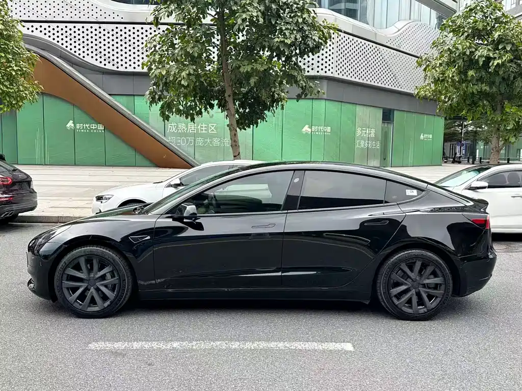 Tesla Model 3 — миниатюра 4