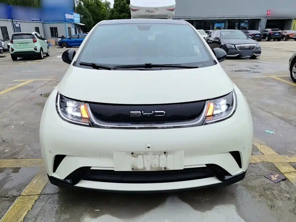 BYD Dolphin — миниатюра 3