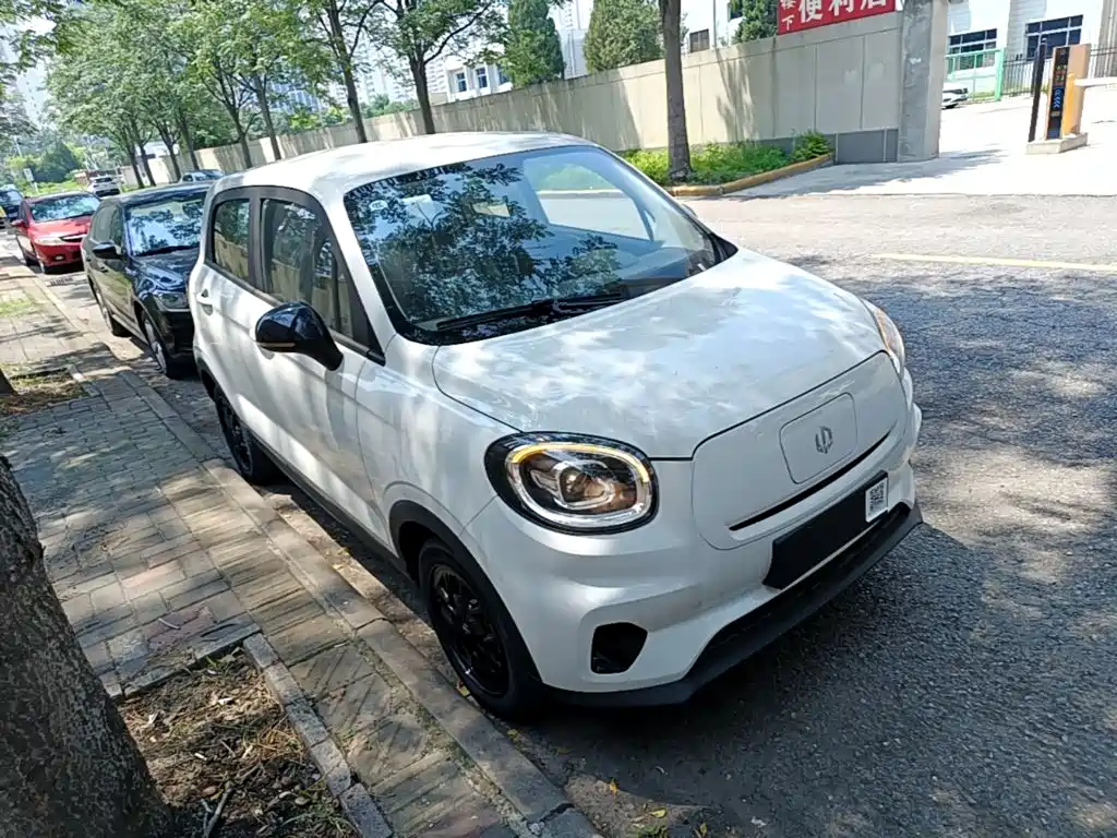 Leapmotor T03 2025 310
