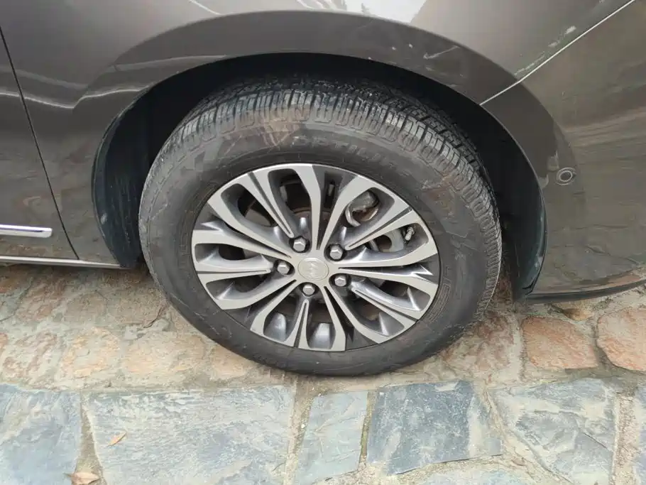 Buick GL8 — миниатюра 6