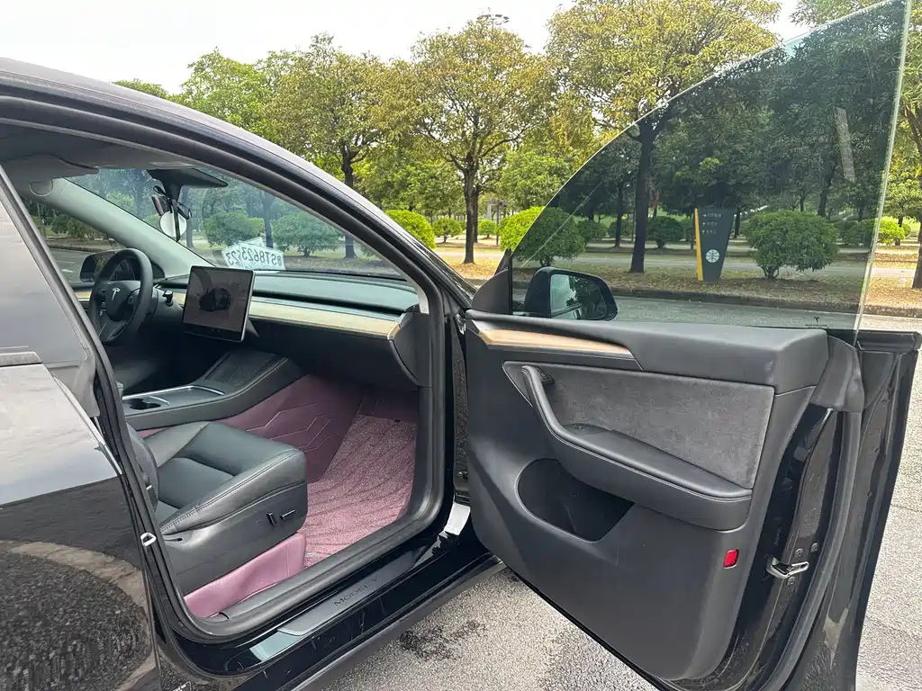Tesla Model Y — миниатюра 12