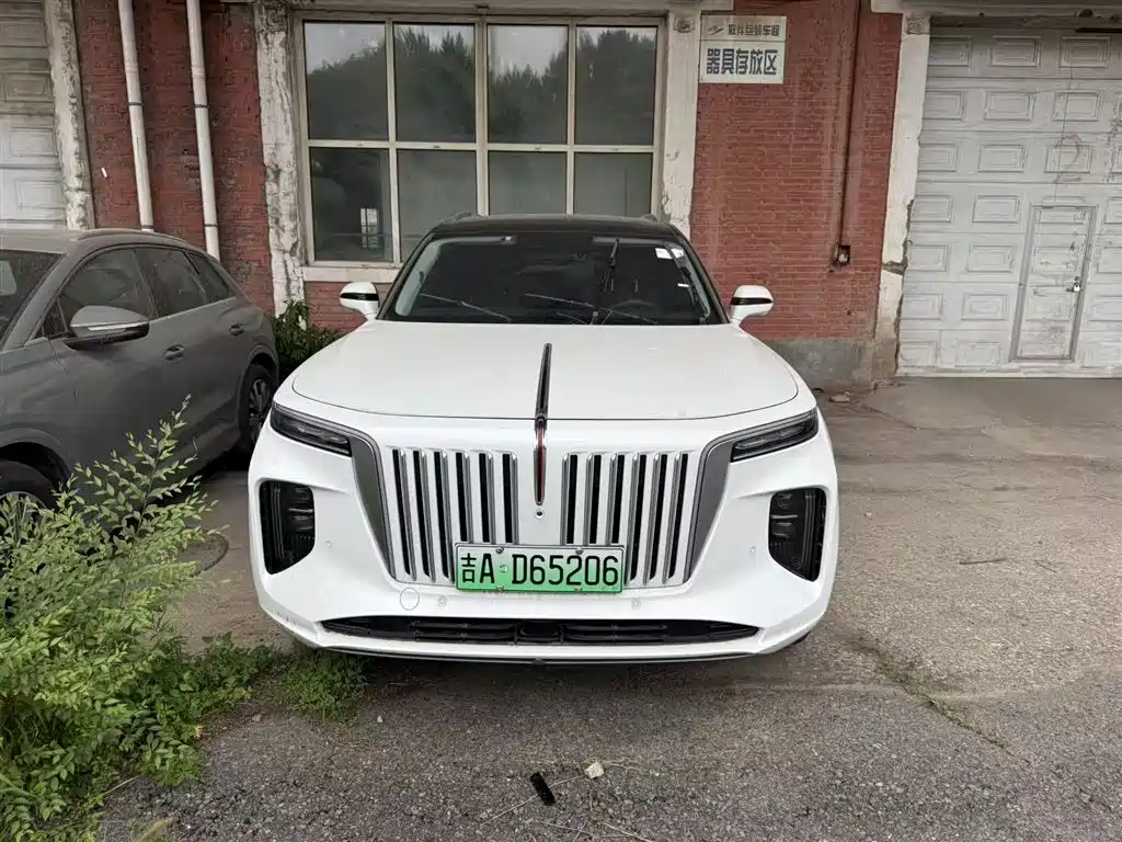 Hongqi E-HS9 2022 690km мест