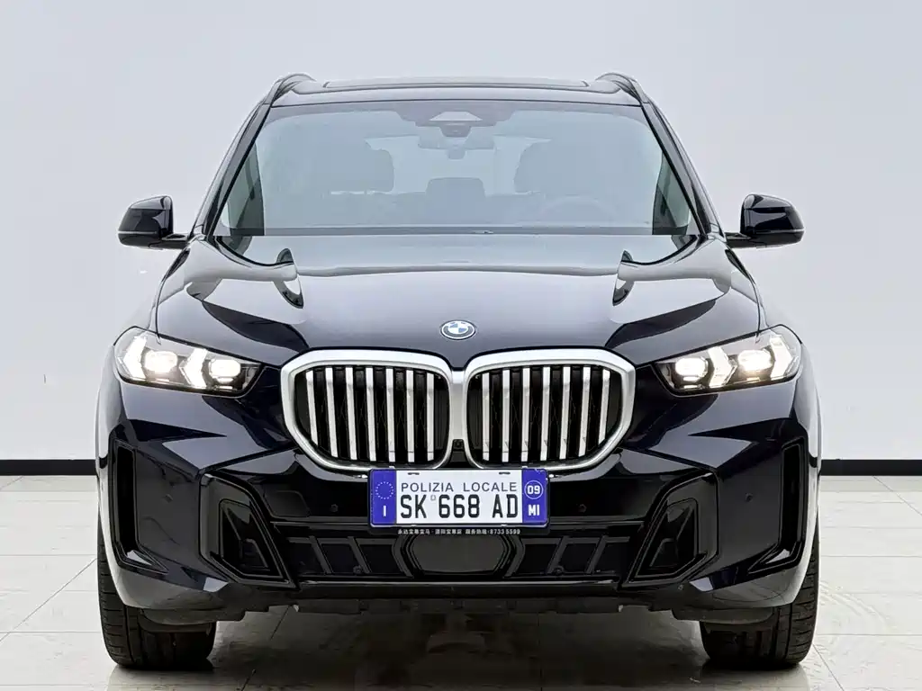 BMW X5 — миниатюра 2