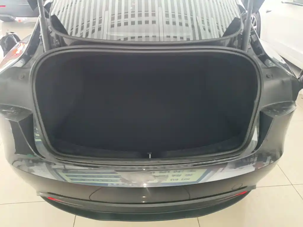 Tesla Model 3 — миниатюра 19