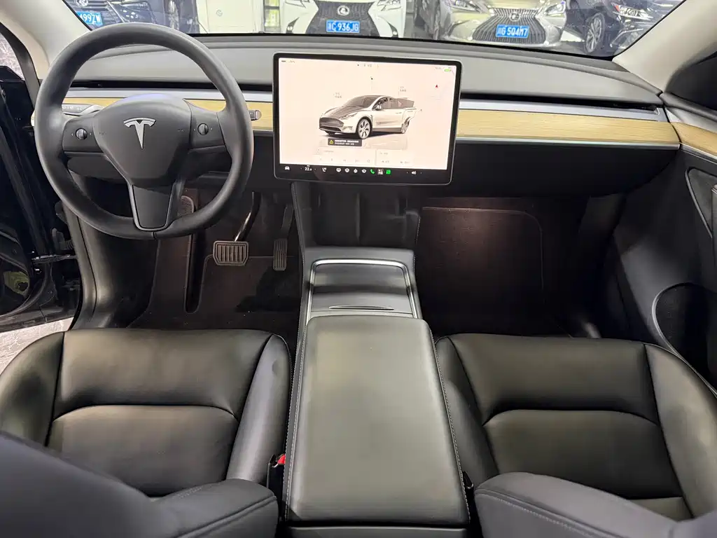 Tesla Model Y — миниатюра 5