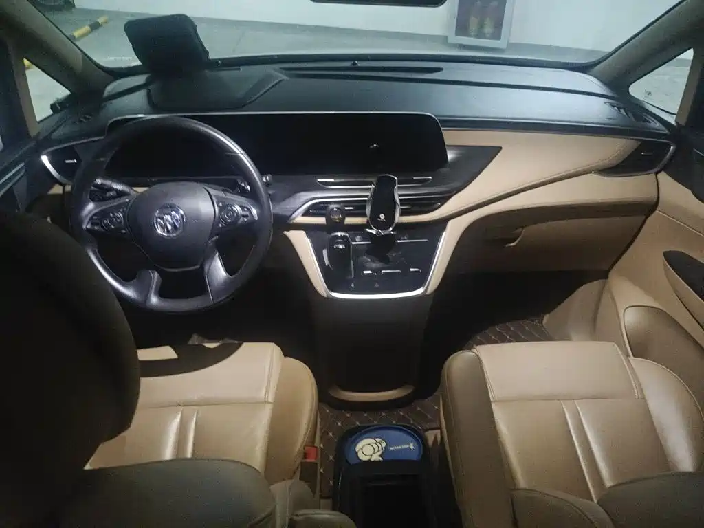 Buick GL8 — миниатюра 10