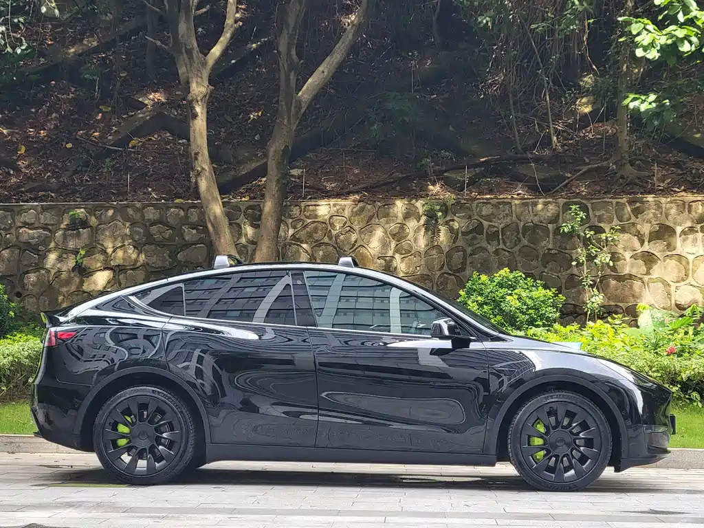Tesla Model Y — миниатюра 13