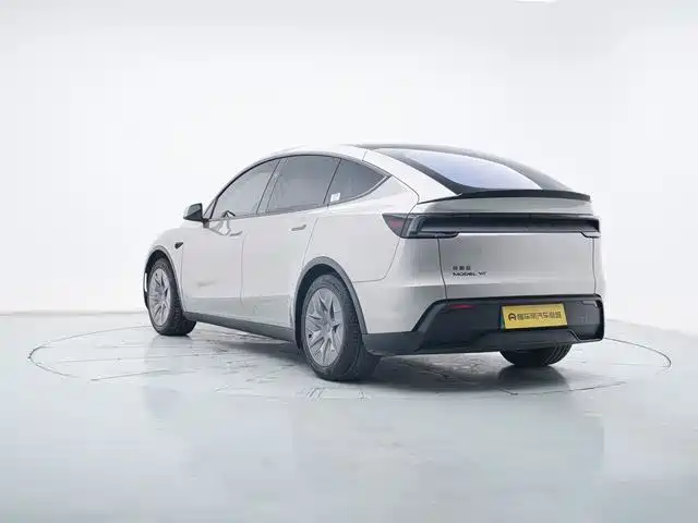 Tesla Model Y L
