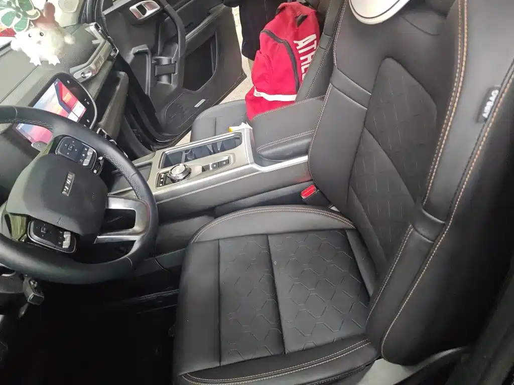 Haval 长城大狗 — миниатюра 16