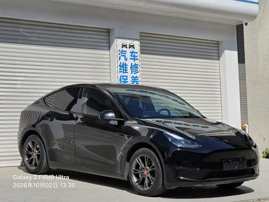 Tesla Model Y — миниатюра 3