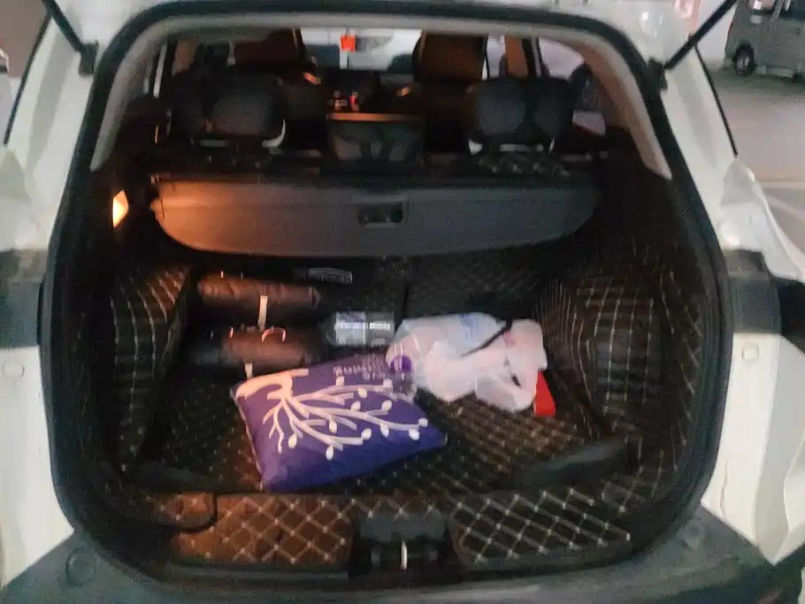 JAC X4 1.5T CVT梦想型, фото 4