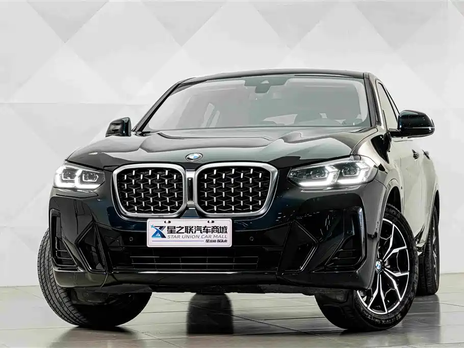 BMW X4 — миниатюра 3