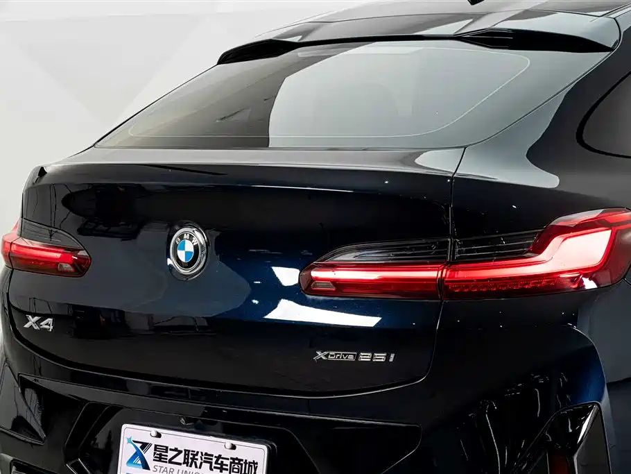 BMW X4 — миниатюра 8