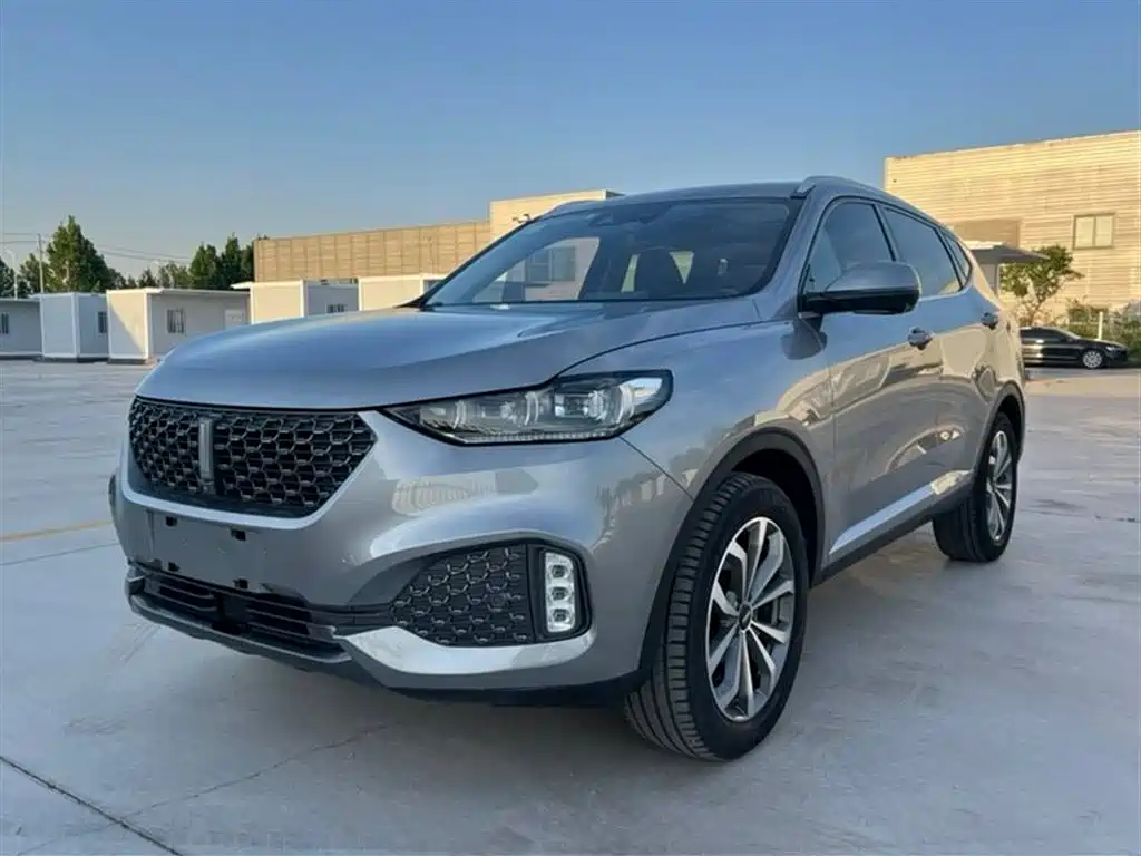 Wey Wey VV6 2019