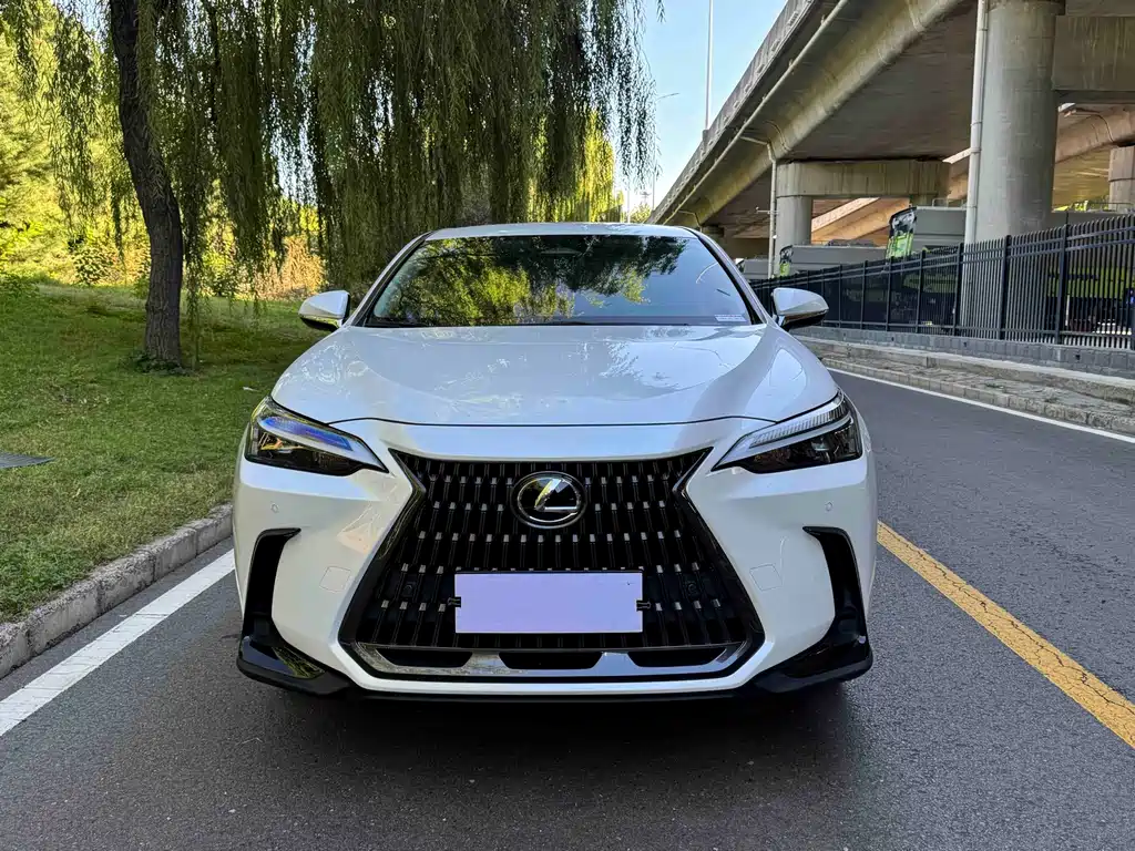 Lexus NX — миниатюра 2