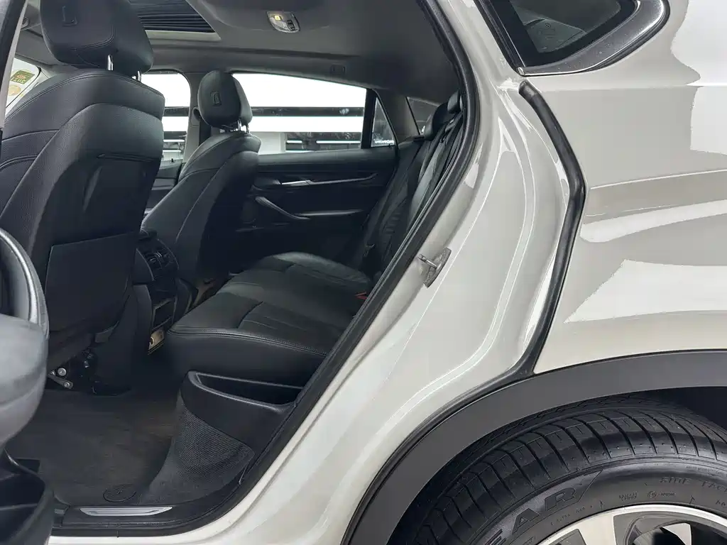 BMW X6 xDrive35i Luxury Type, фото 7
