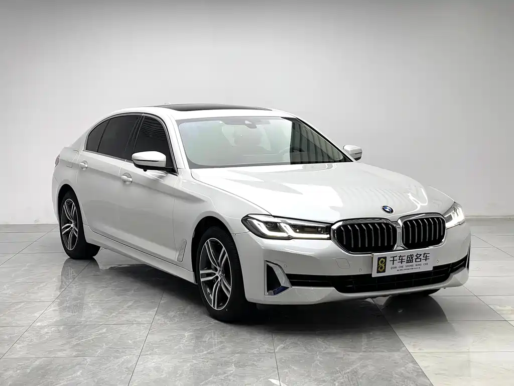 BMW 5 Series 5 2021 530Li Lead Luxury