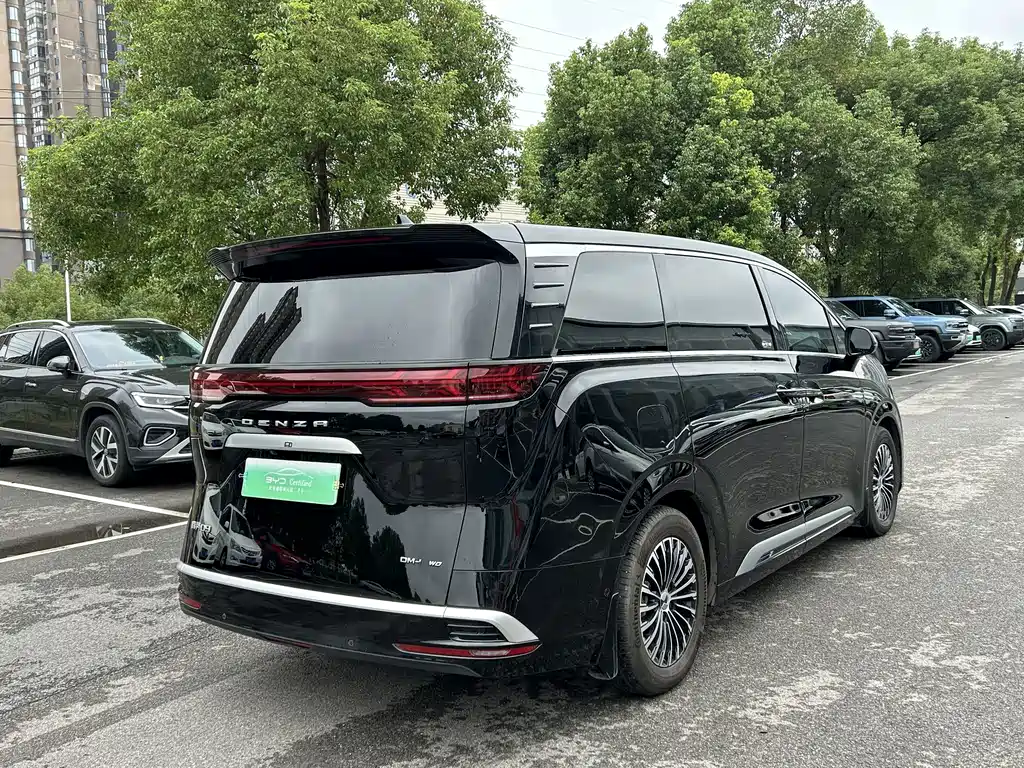 Denza Denza D9 — миниатюра 12